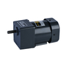 SPEED-ADJUSTABLE GEAR MOTOR VARIABLE FREQUENCY DRIVE