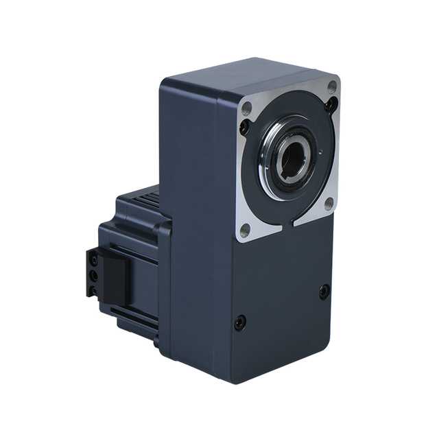 FLAT TYPE MOTOR MICRO AC GEARED MOTOR