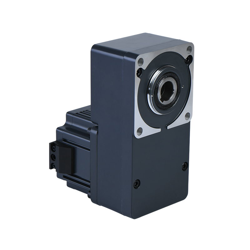 FLAT TYPE MOTOR MICRO AC GEARED MOTOR