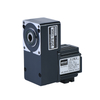 FLAT TYPE MOTOR MICRO AC GEARED MOTOR