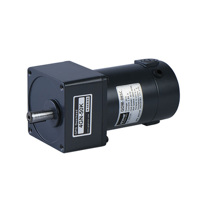 DC BRUSHED GEAR MOTOR