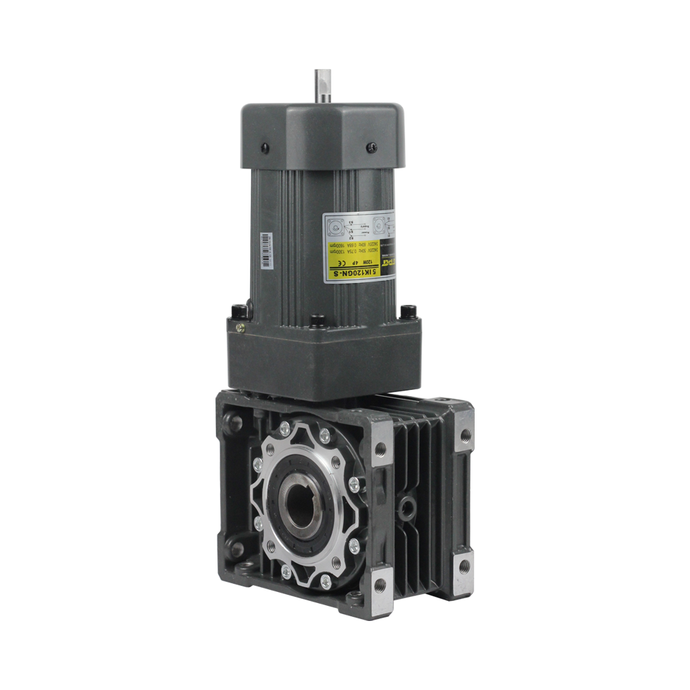 SINGLE-PHASE AC DUAL REDUCTION INTEGRATED MOTOR