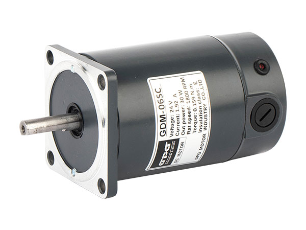 AC gear motor
